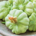Peter Pan (Scallop) Summer Squash