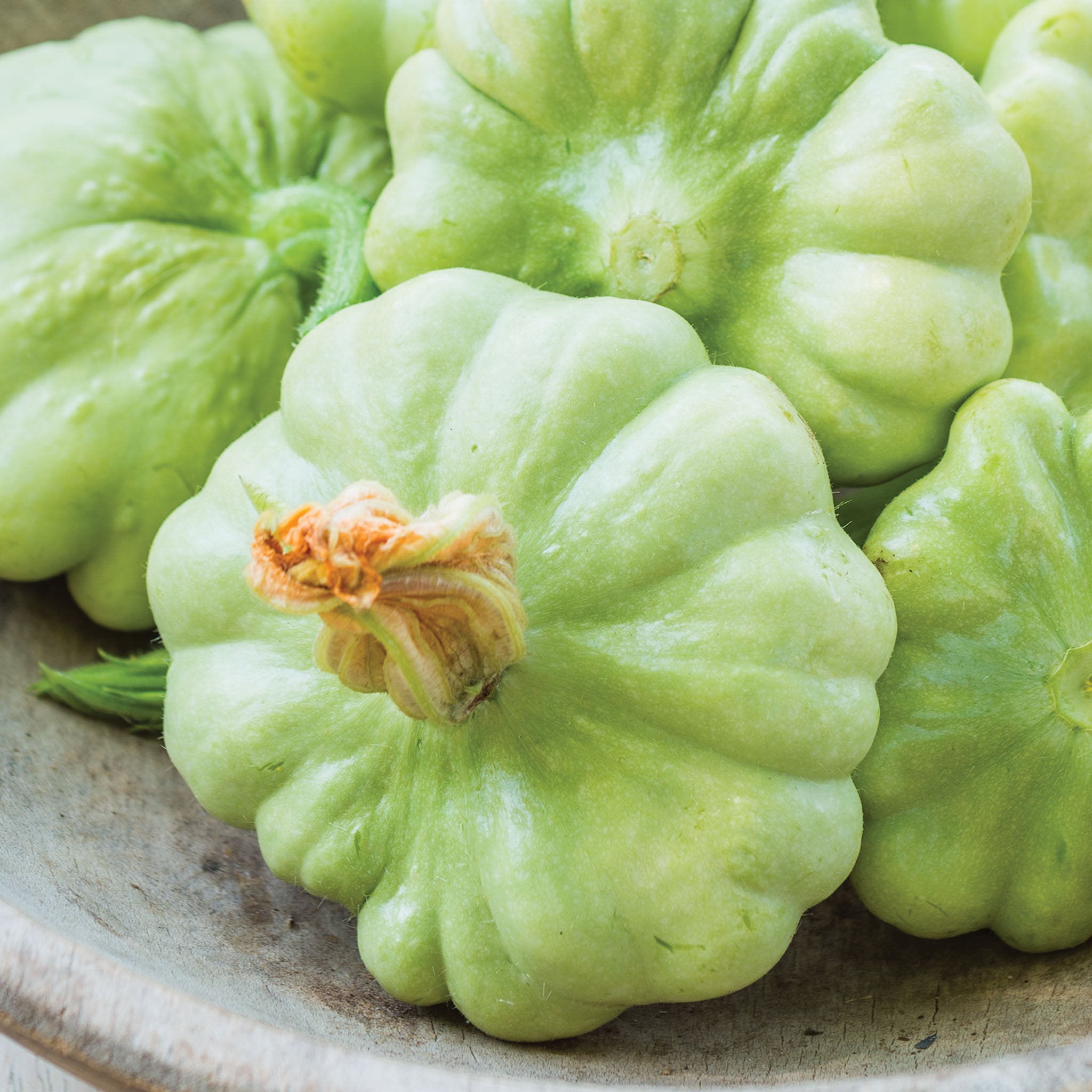 Peter Pan (Scallop) Summer Squash