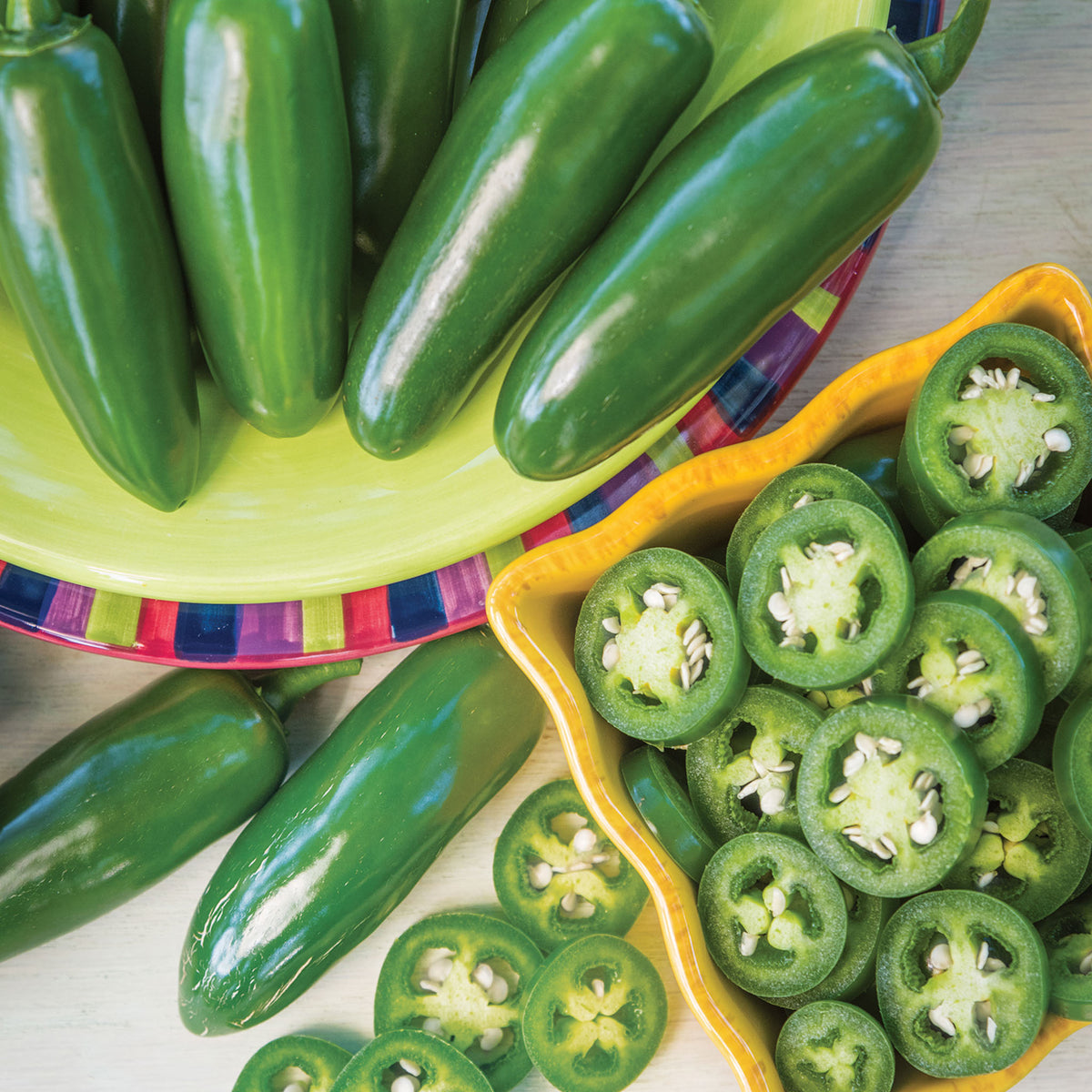 Ring Leader Hot Jalapeno Pepper