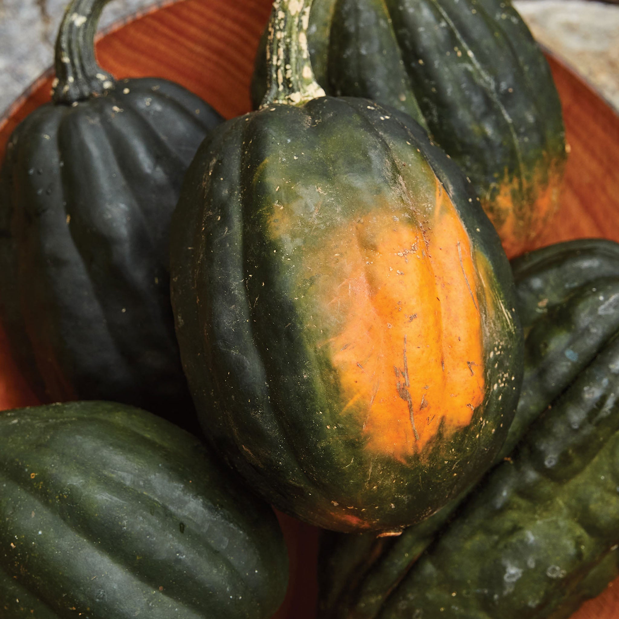 Early Acorn Winter Squash