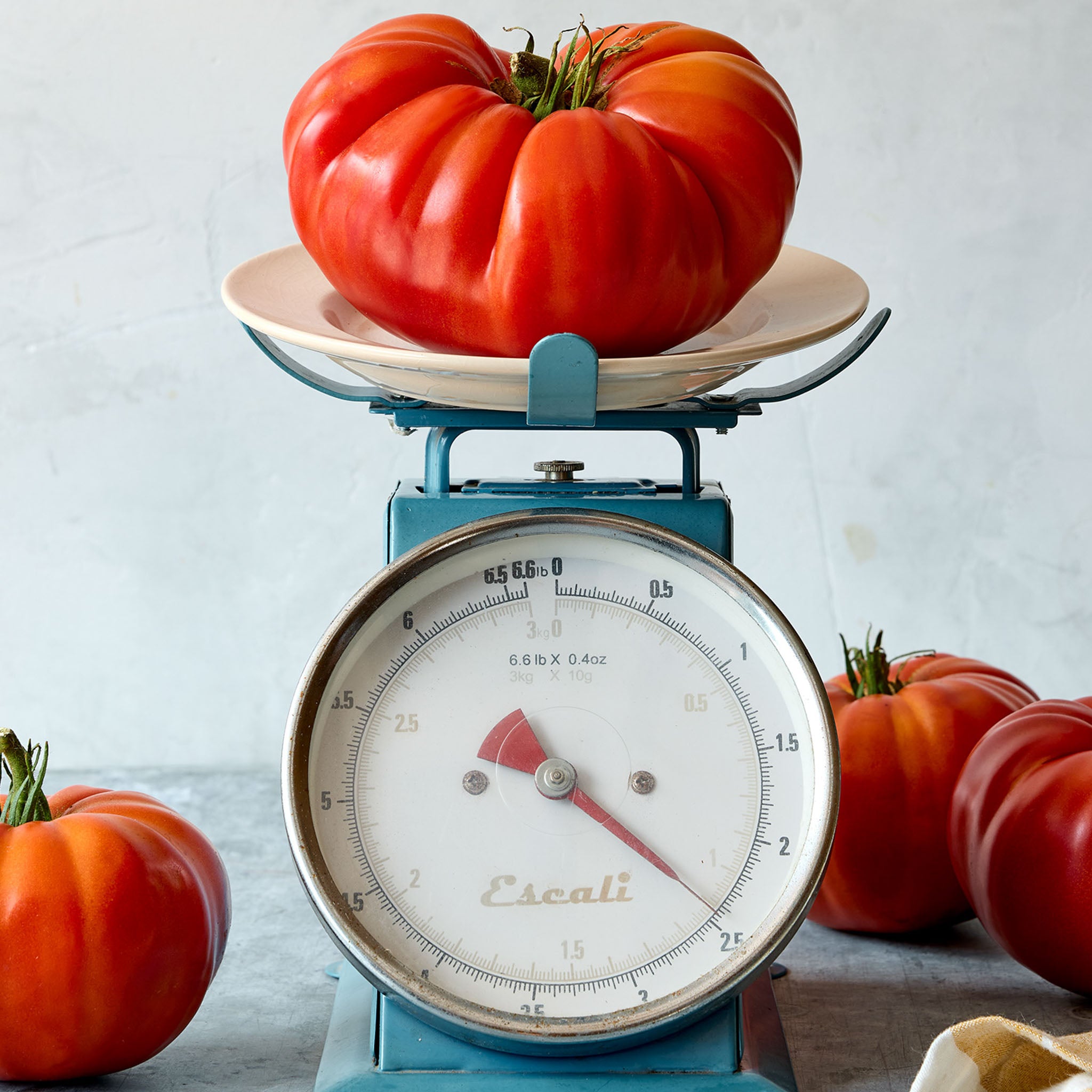 SteakHouse Tomato