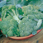 De Cicco Broccoli