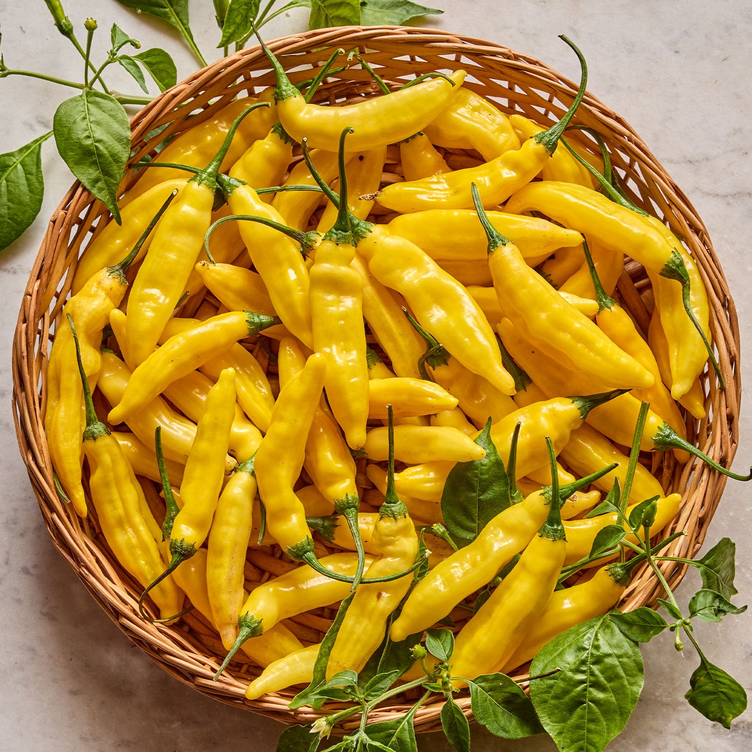 Hot Lemon Hot Pepper