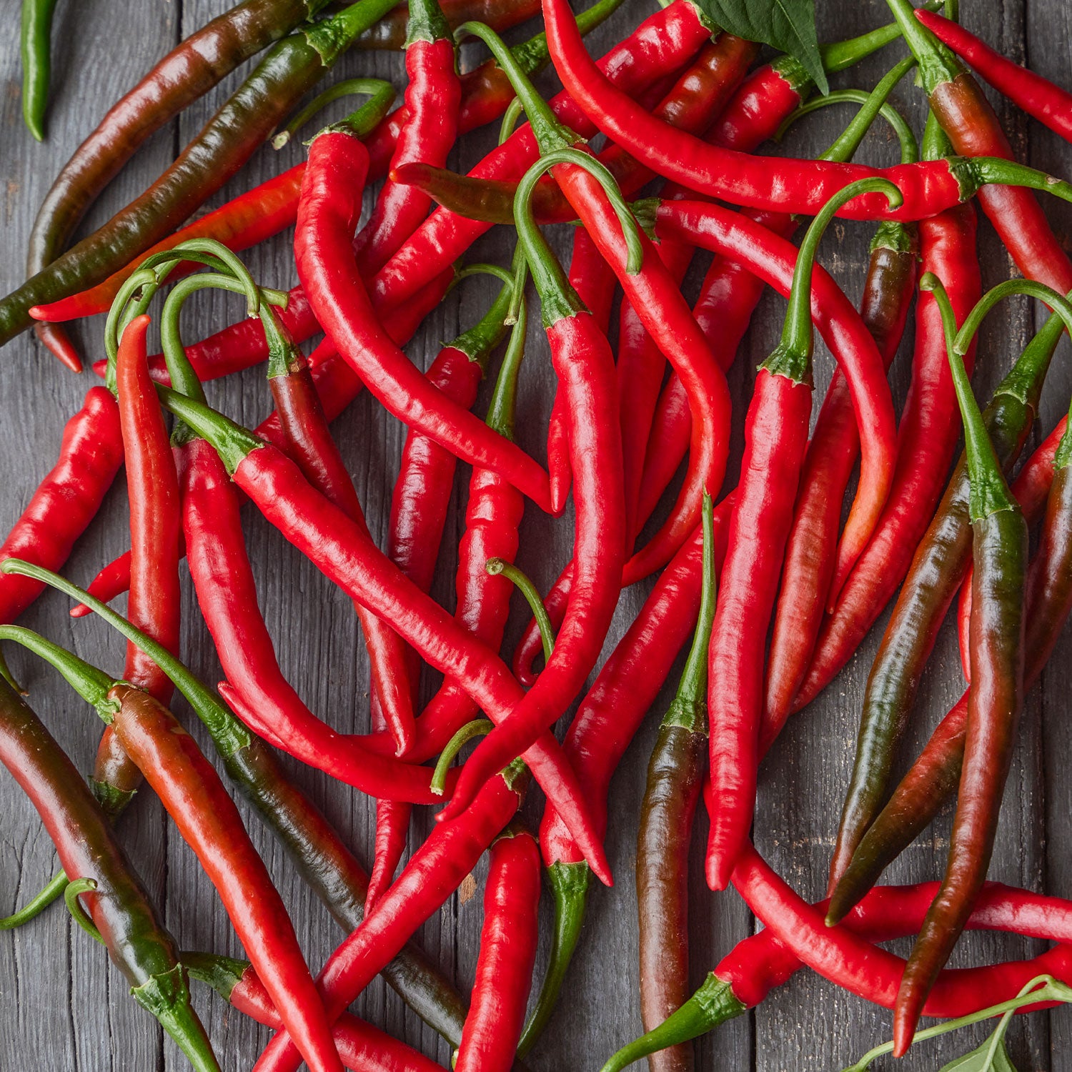 Burpee Garden Sown™ Lavaland Hot Pepper