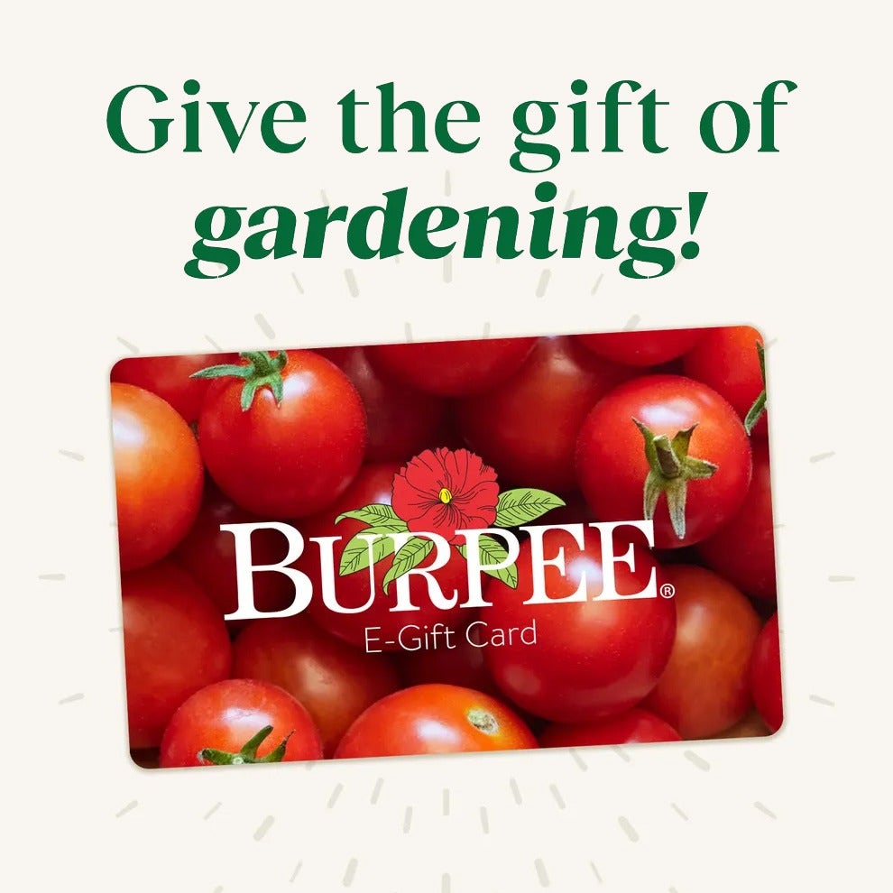 Burpee.com Gift Card