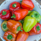 Confetti Sweet Pepper