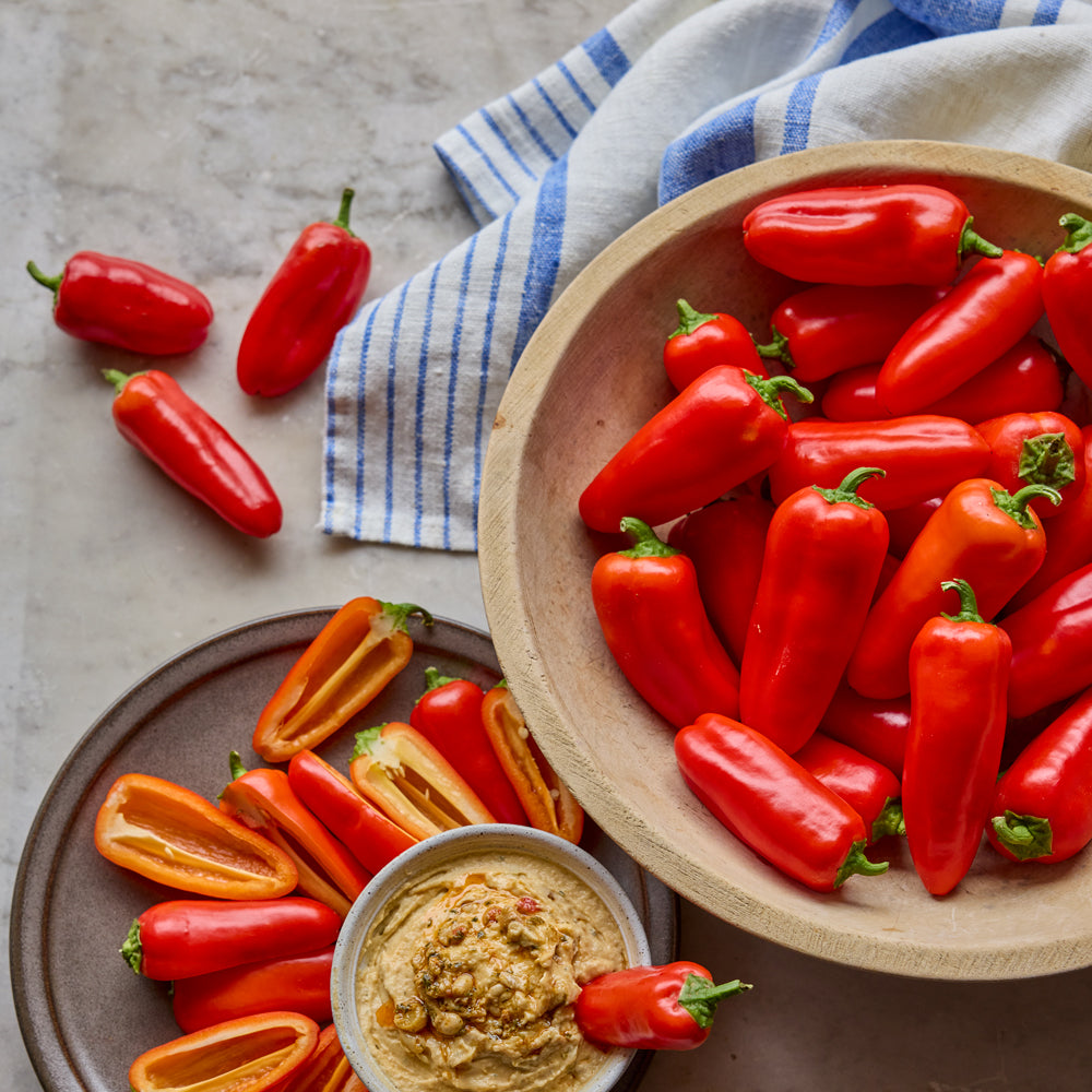 Red Pop Sweet Pepper
