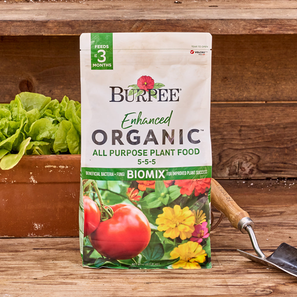 Burpee Enhanced All Purpose - 5-5-5 Plant Food