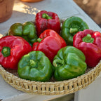 California Wonder Sweet Pepper