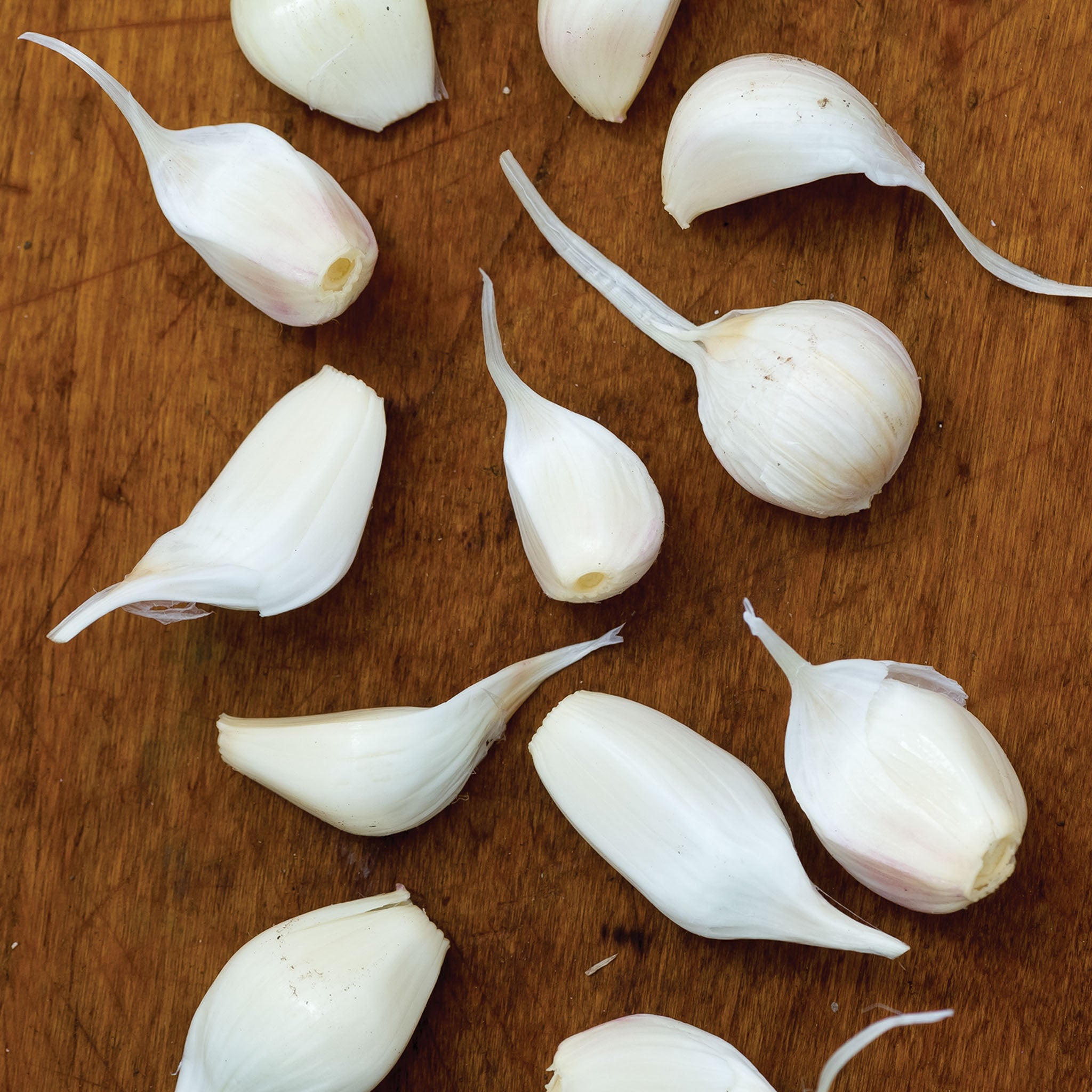 Early Italian Garlic Bulbs