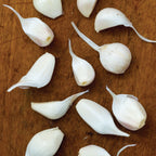 Early Italian Garlic Bulbs