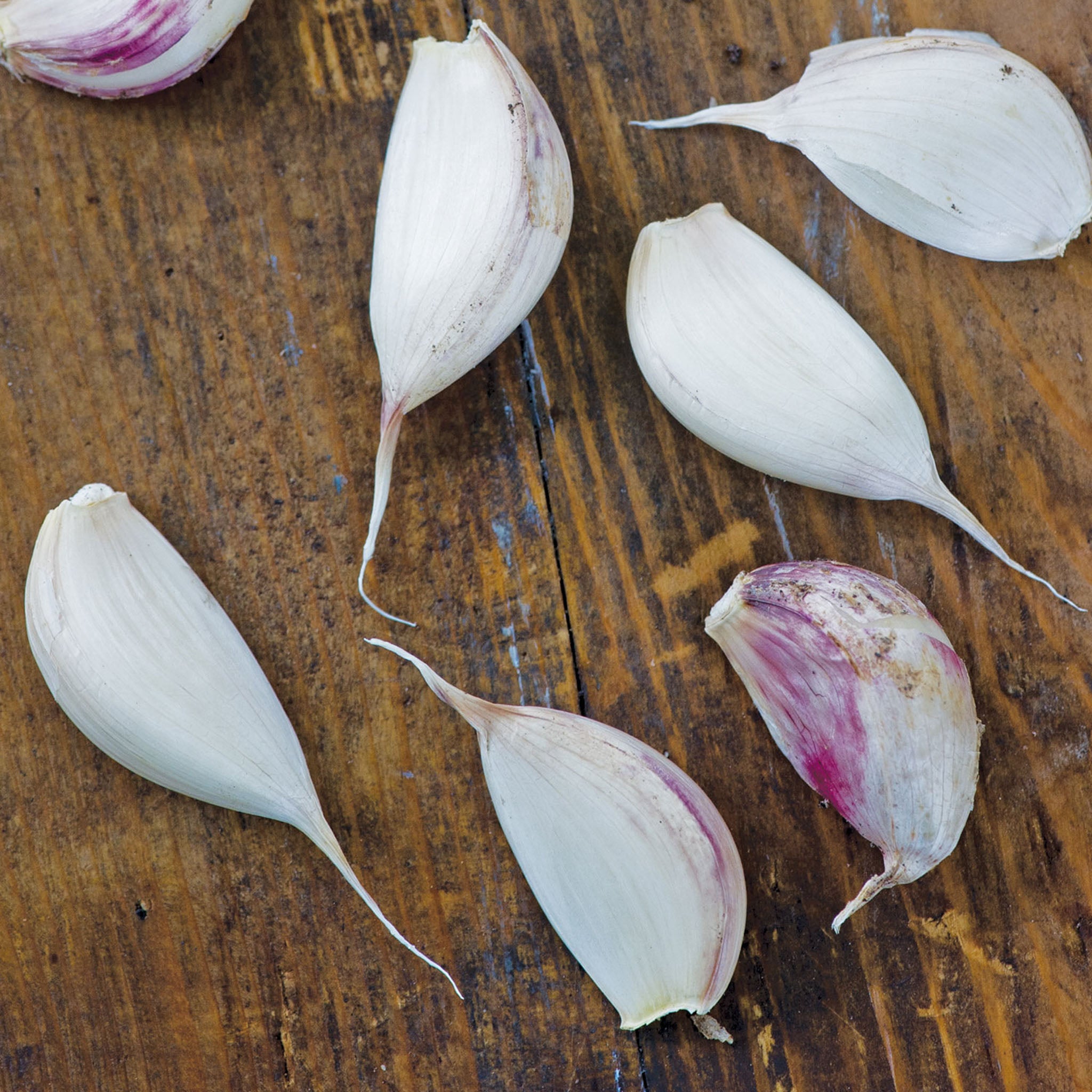 Ajo Rojo Garlic Bulbs