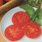 Burpee's Supersteak Tomato