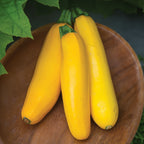 Gourmet Gold Squash