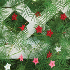 Red Cypress Vine