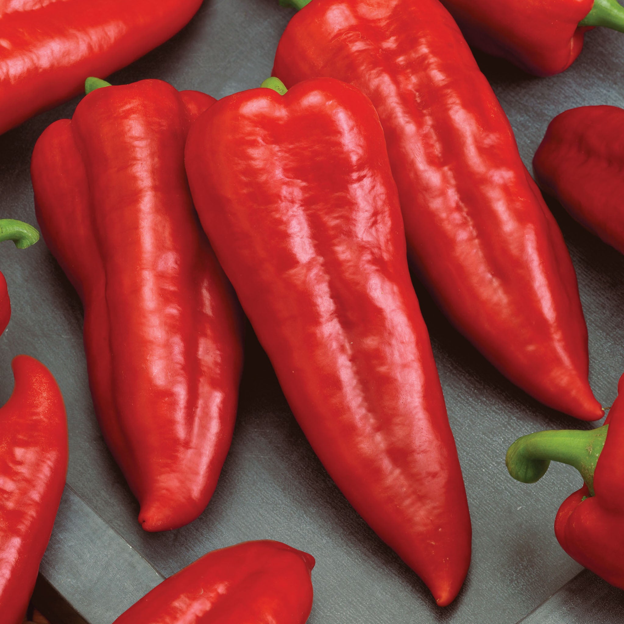 Marconi Rosso Organic Sweet Pepper
