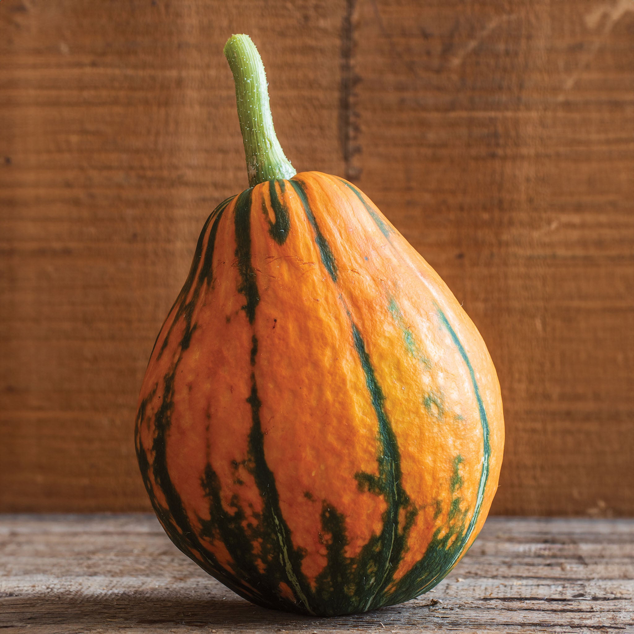 Lakota Winter Squash