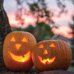 Jack O Lantern Pumpkin