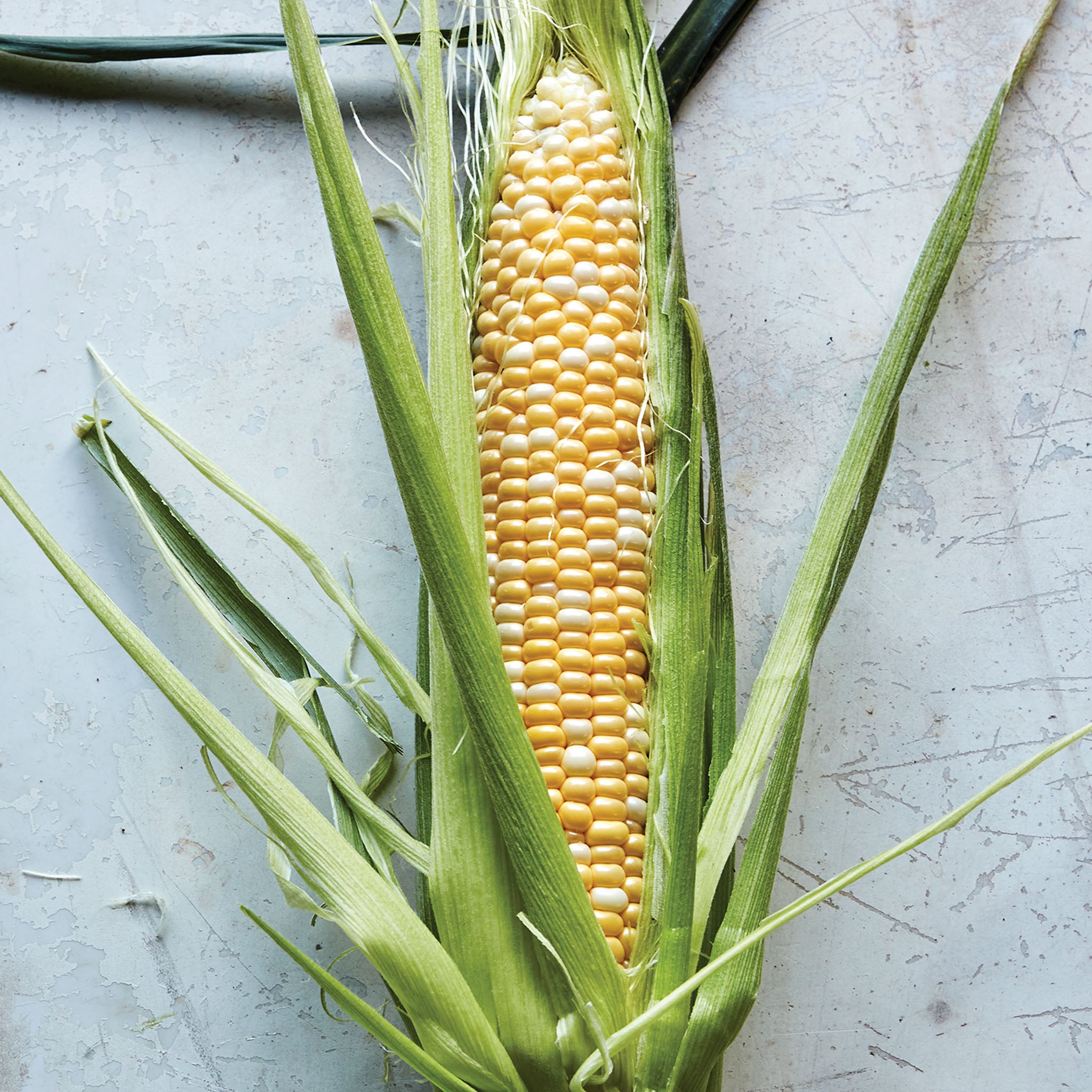 Sweetness Corn