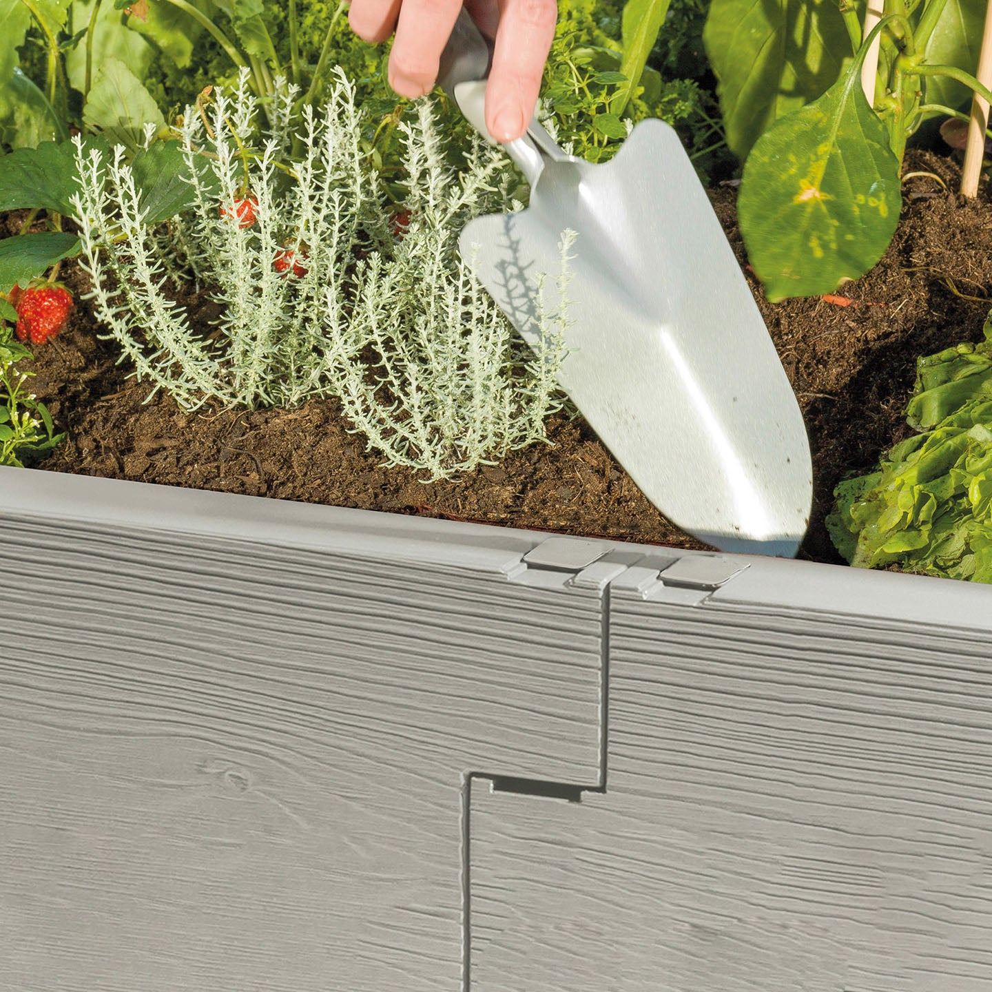 Combination Raised Bed Cold-Frame
