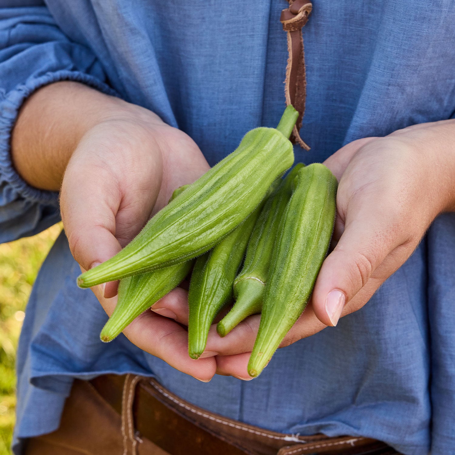 Clemson Spineless Okra