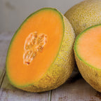 Olympic Express Cantaloupe