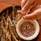 Dragon Tongue Bush Bean