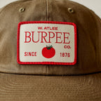 Vintage Dad Hat - Loden