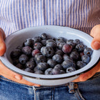 Patriot Blueberry