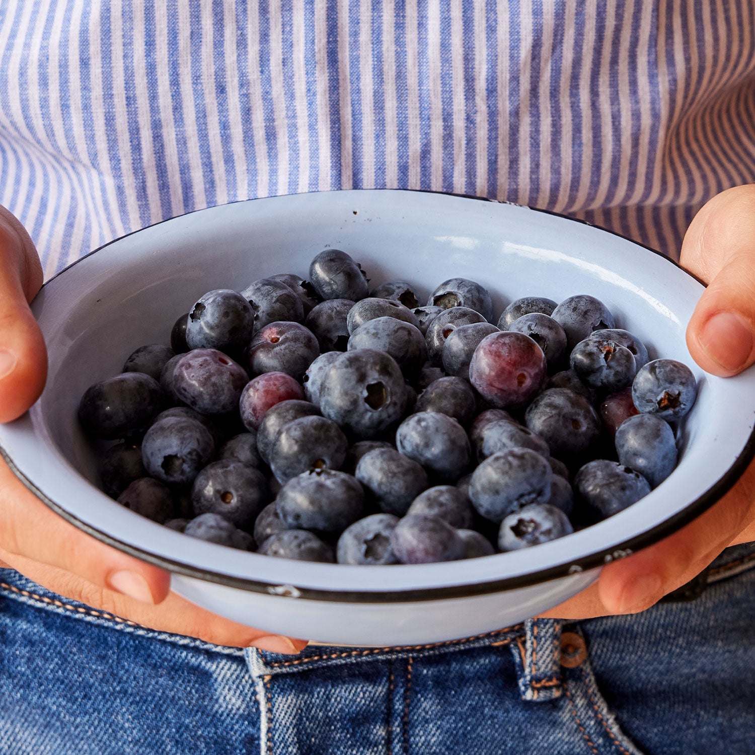 Patriot Blueberry