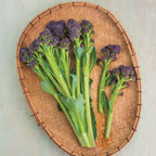 Burgundy Delight Lettuce