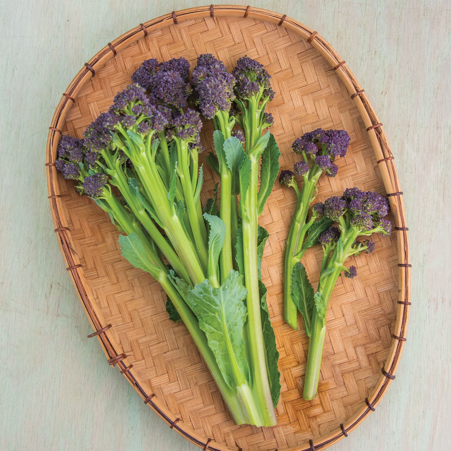 Burgundy Delight Lettuce