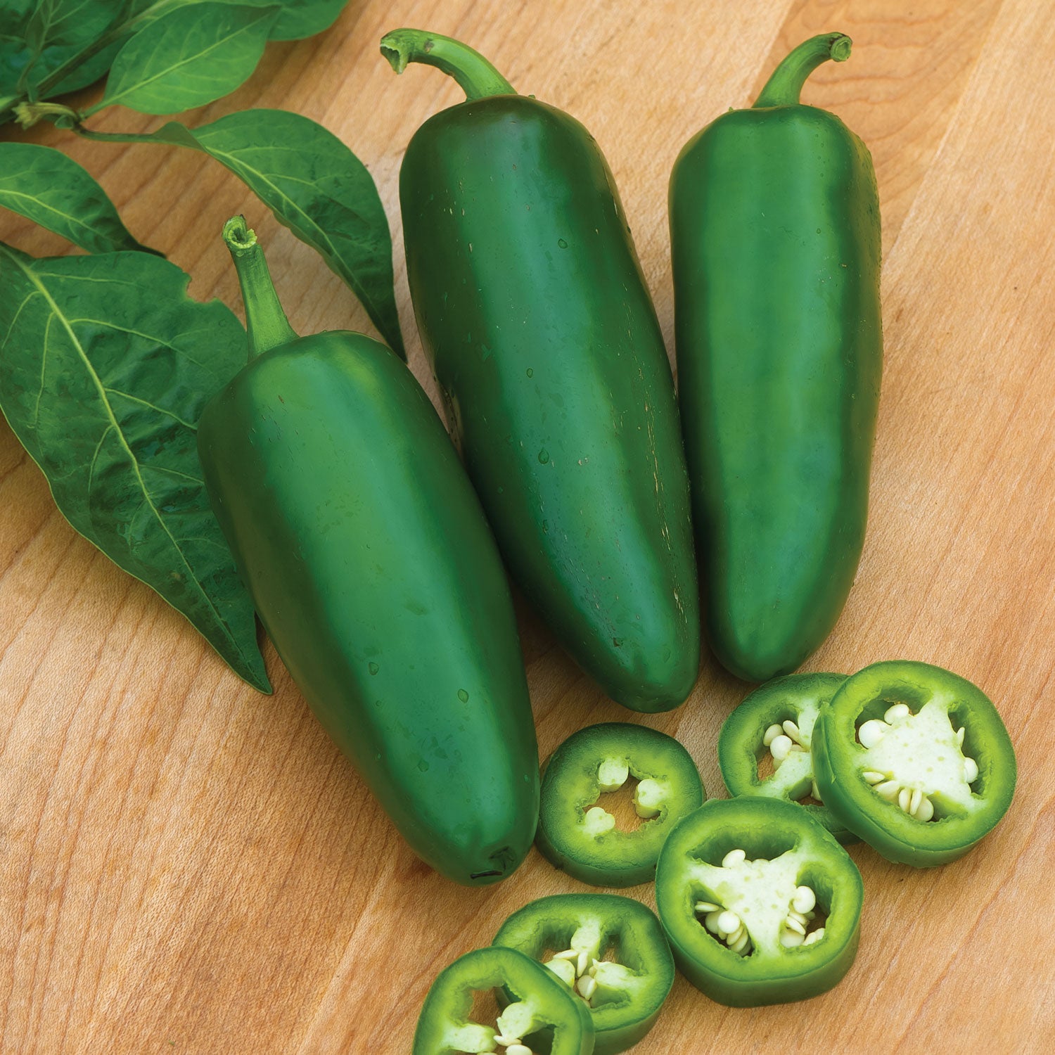 Big Guy Hot Jalapeno Pepper