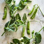 Burpeeana Early Pea