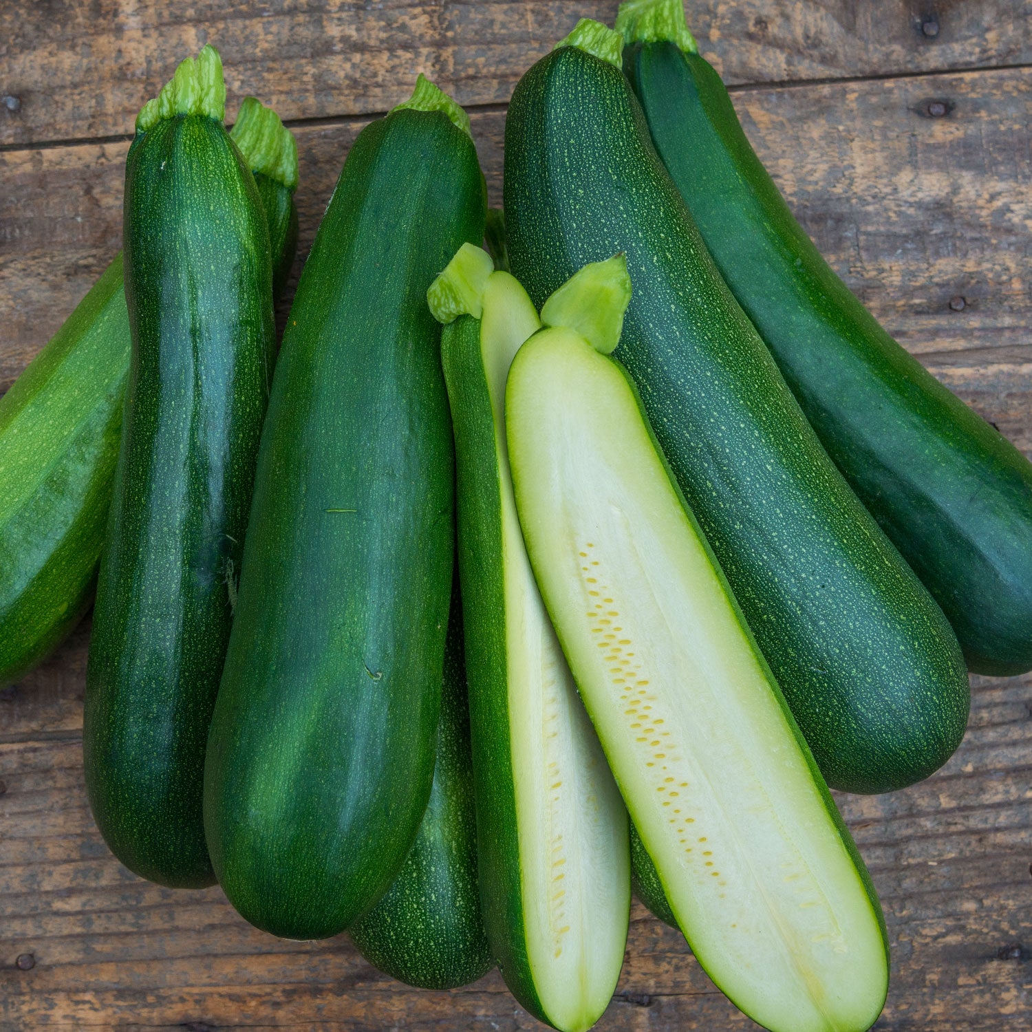 Sure Thing Summer Squash