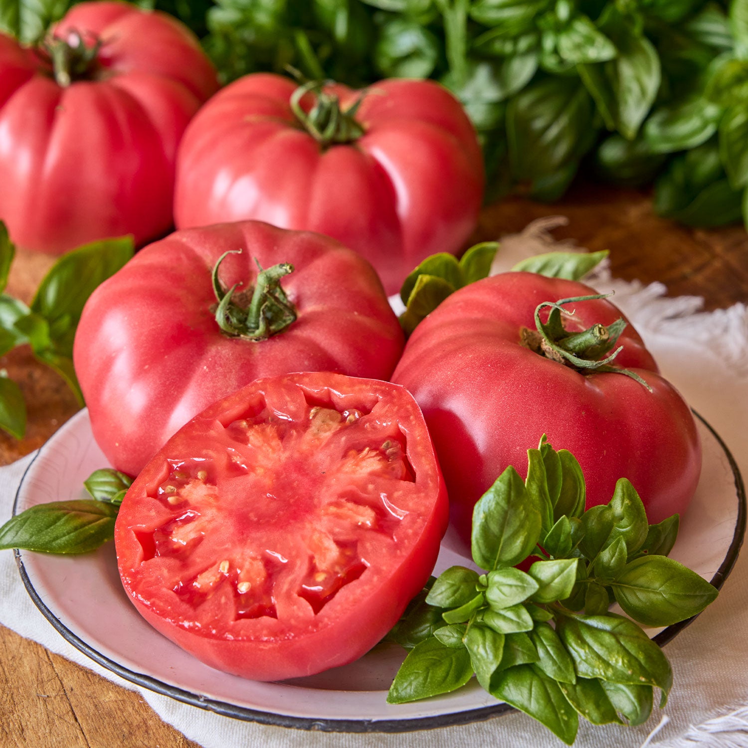 Brandy Boy Tomato