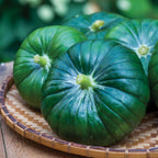Cupcake Summer Squash