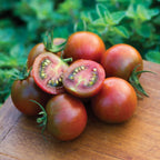 Sunchocola Tomato