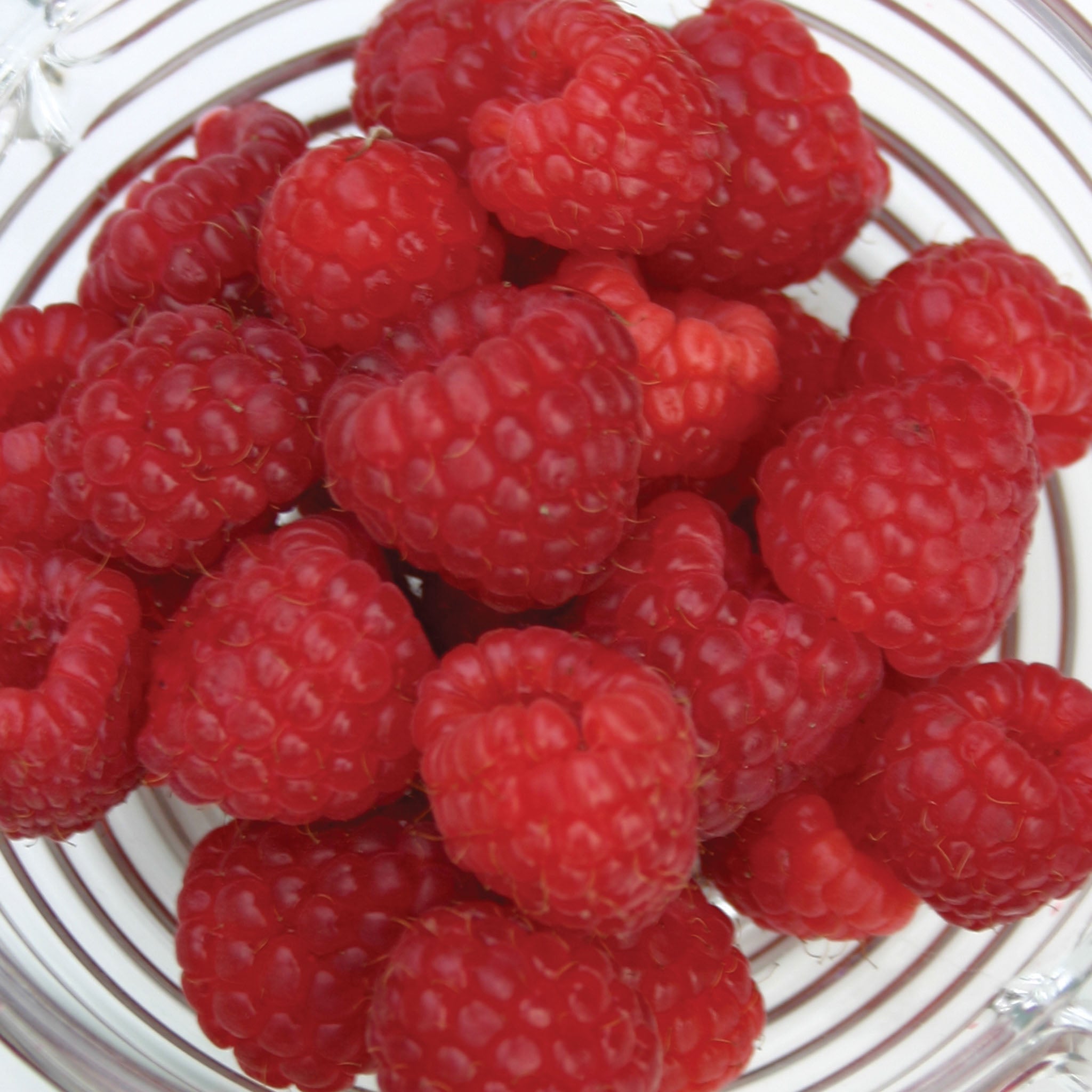 Killarney Raspberry