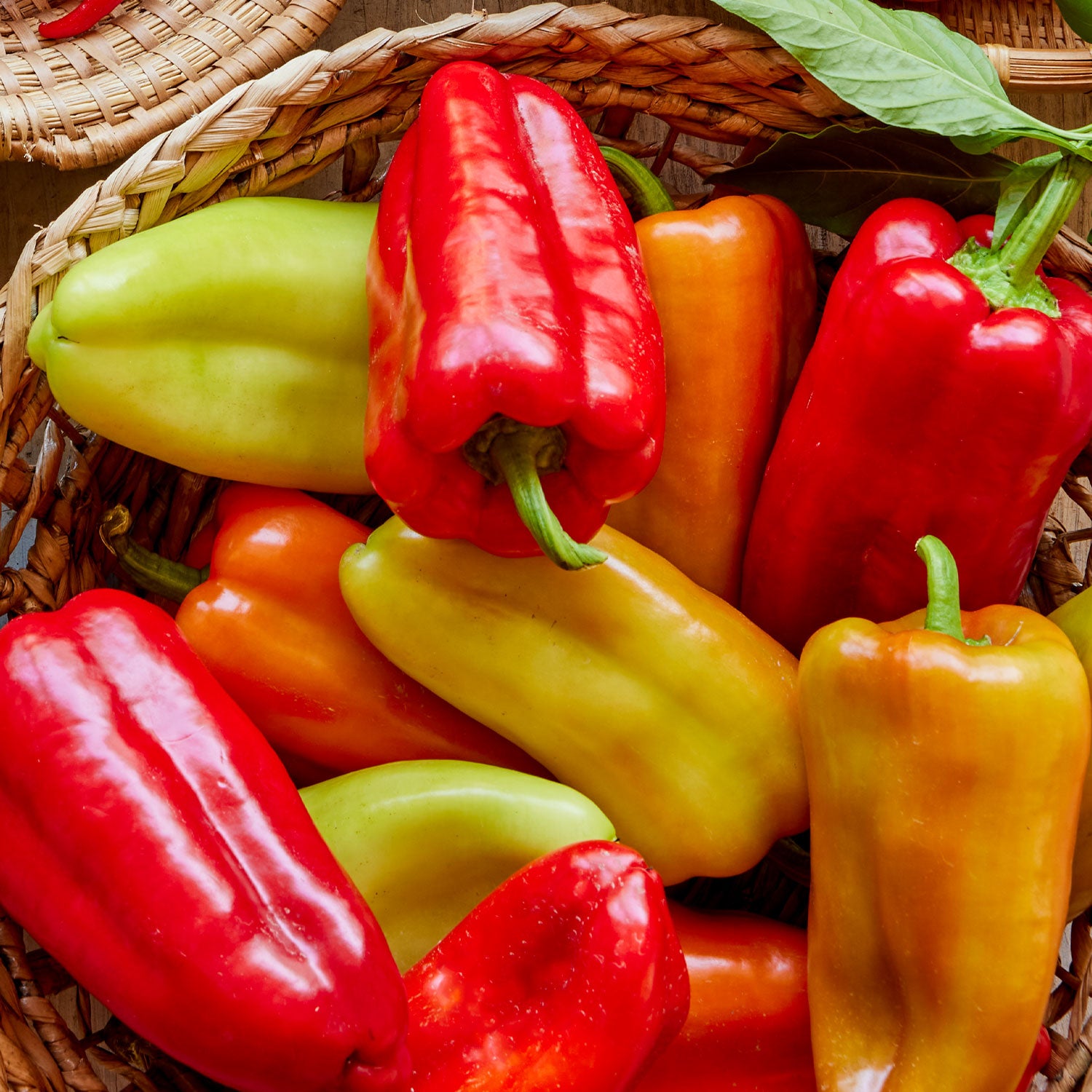Gypsy Sweet Pepper