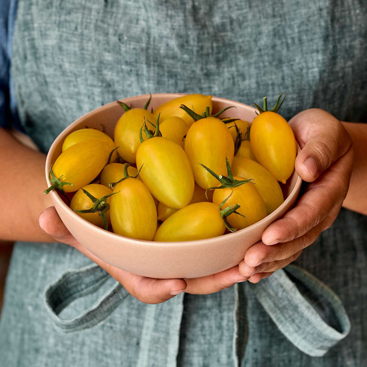 Bliss Tomato