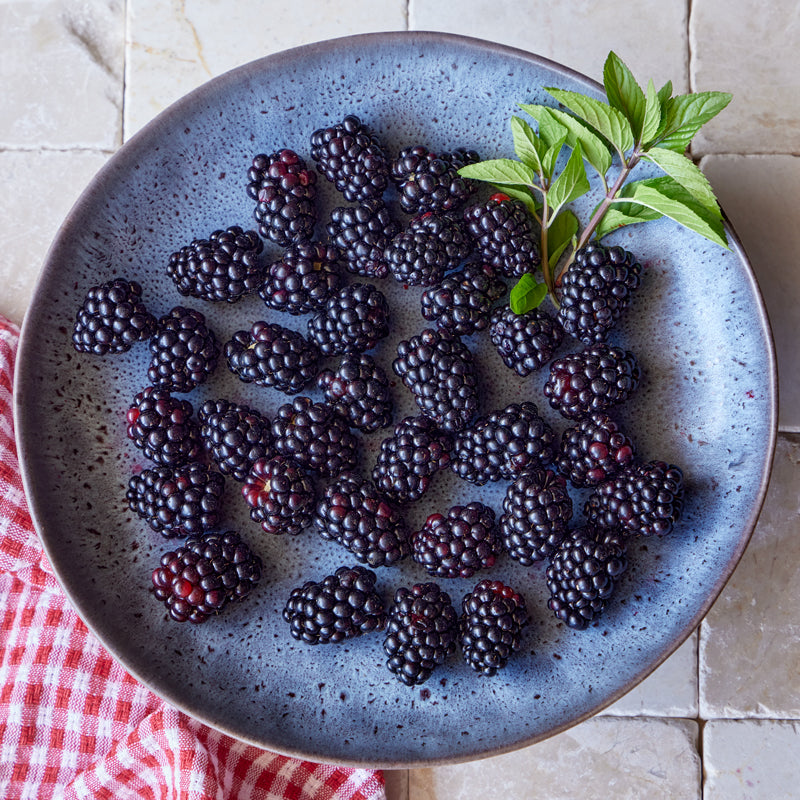 Galaxy Blackberry
