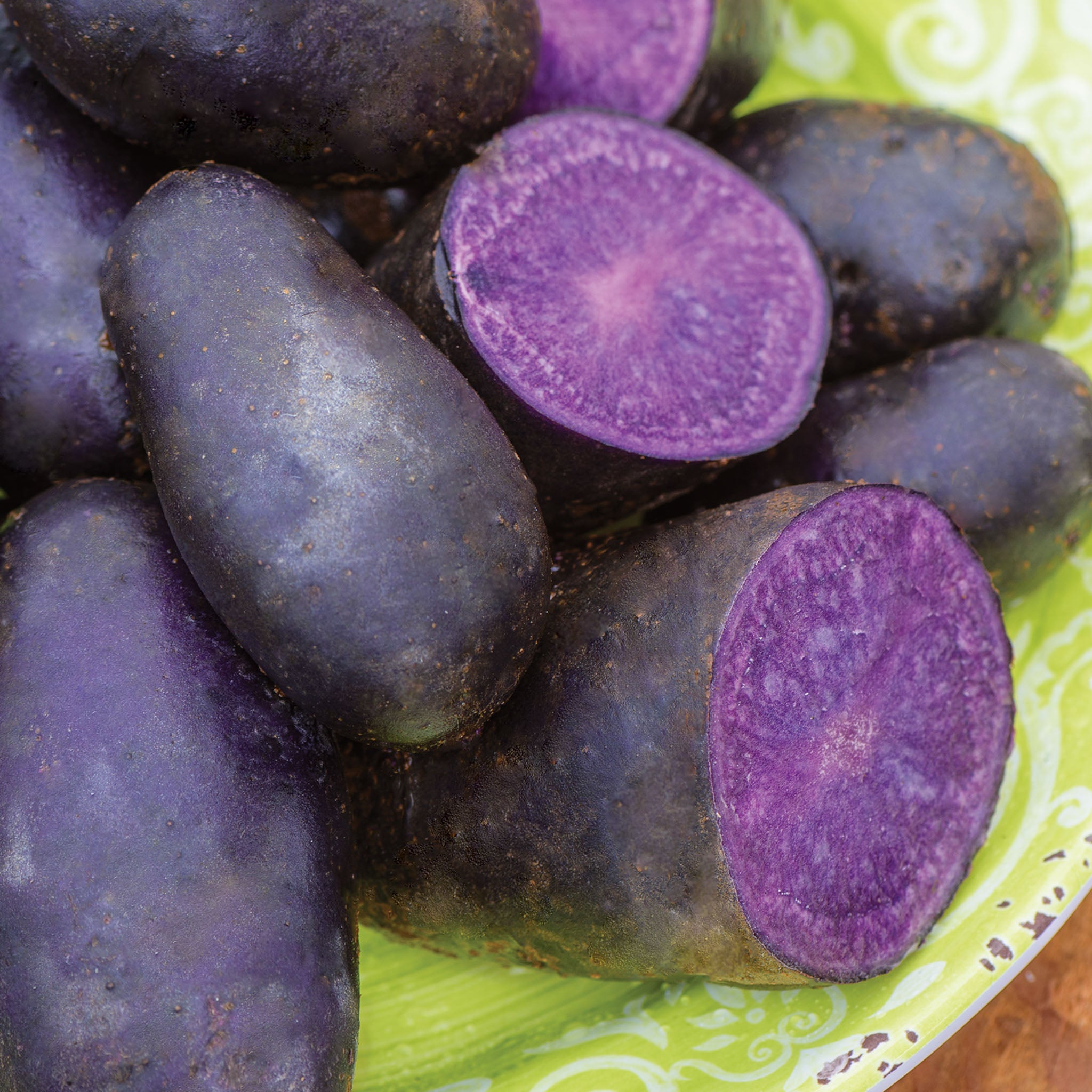Magic Molly Potato Tubers