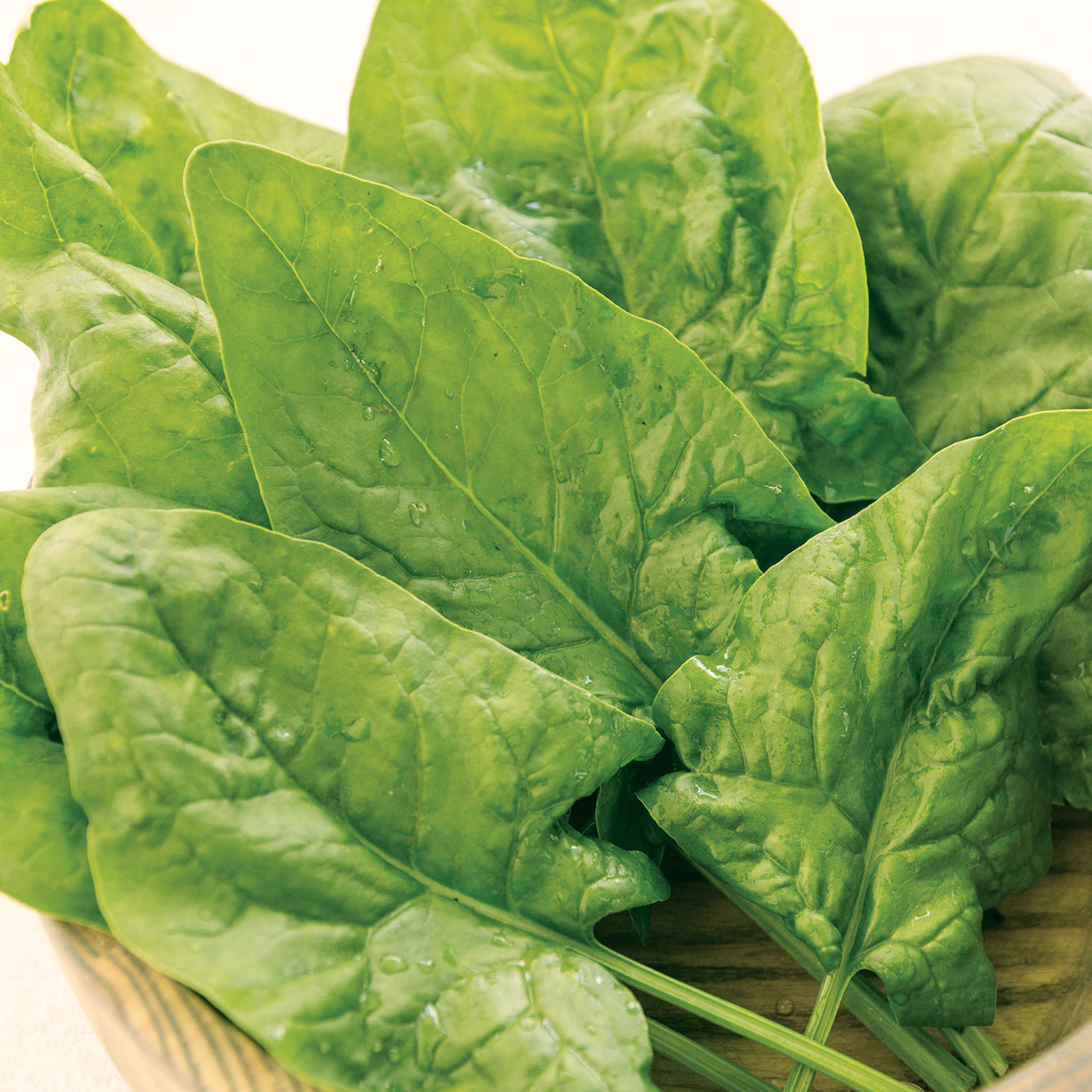 Double Take Spinach