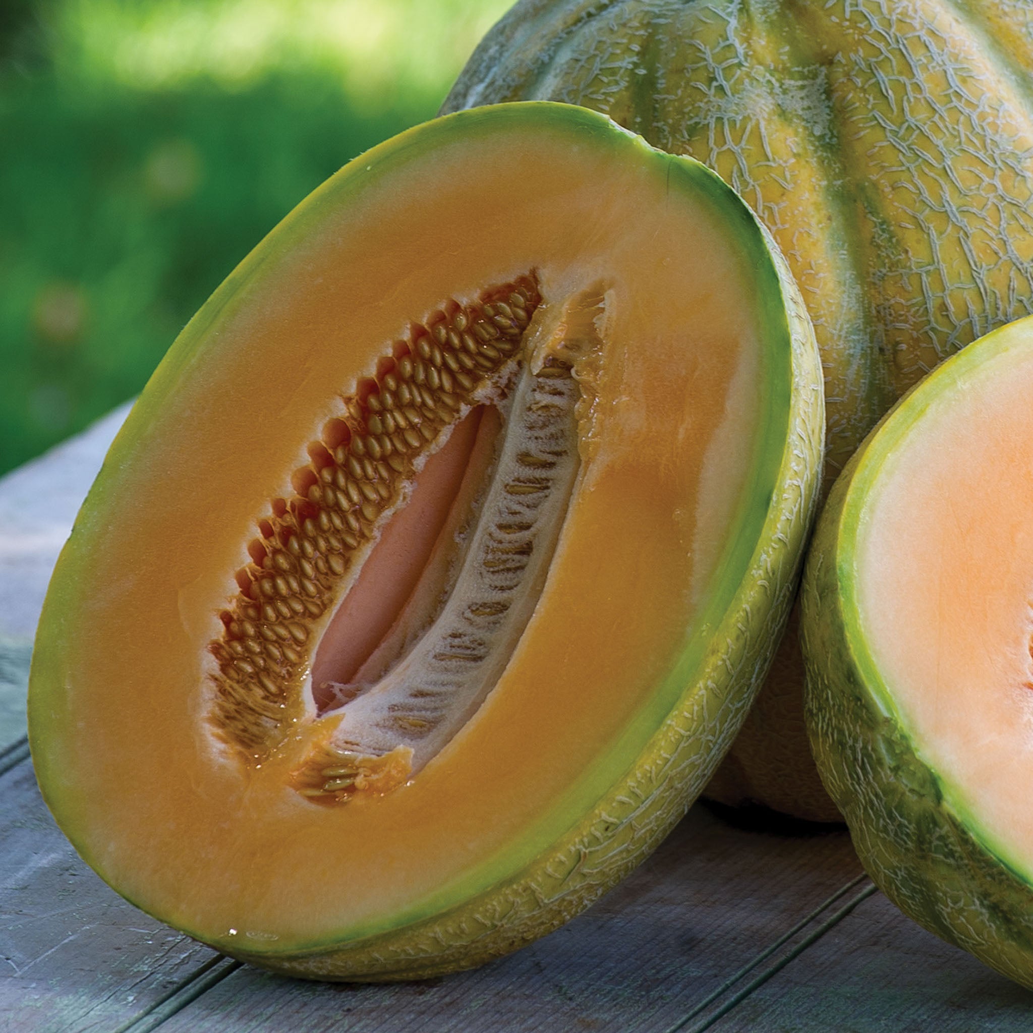 El Gordo Cantaloupe