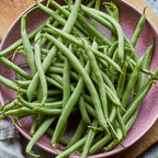 Blue Lake 47 Bush Bean