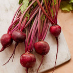 Detroit Dark Red Medium Top Beet