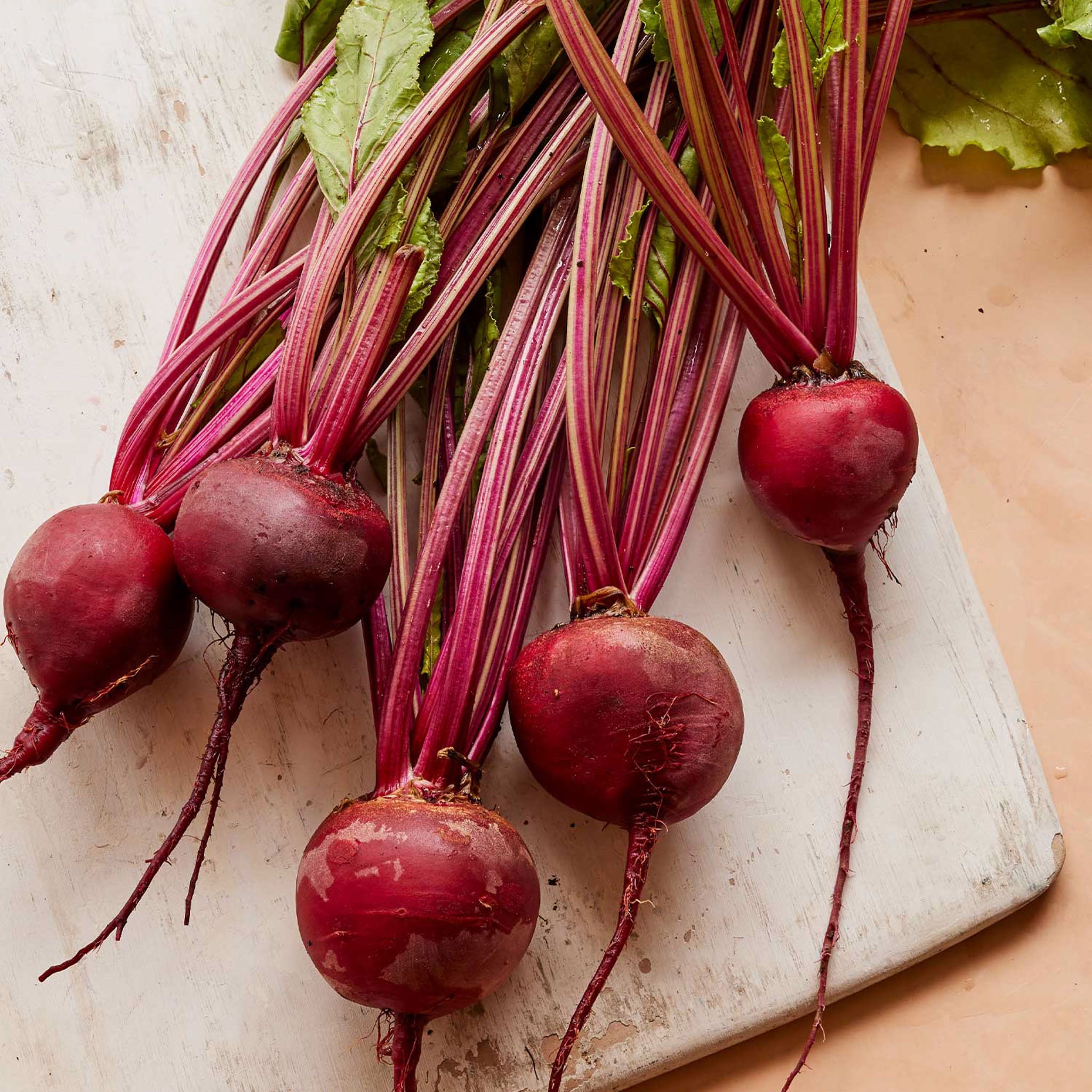 Detroit Dark Red Medium Top Beet