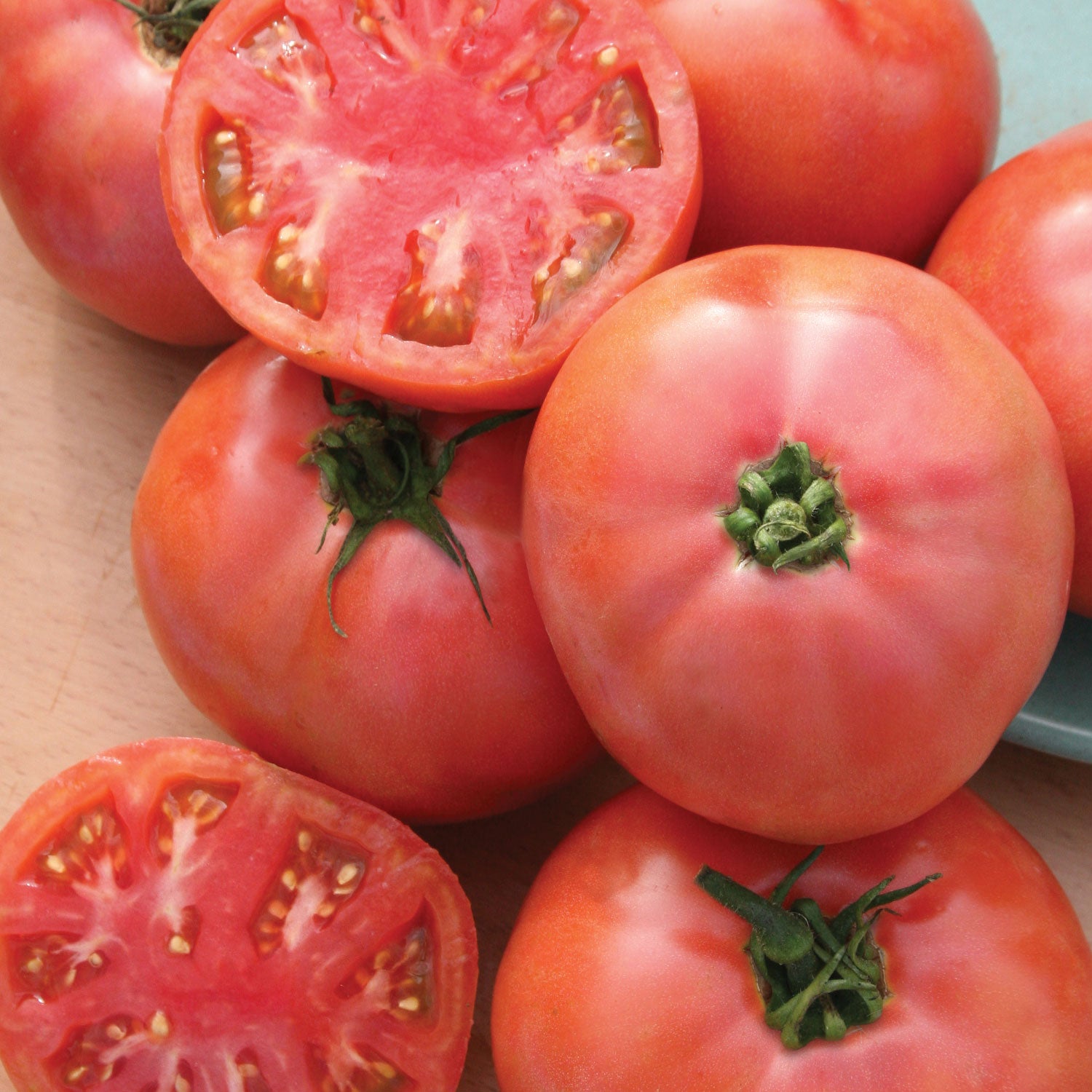 Brandywine Pink Tomato