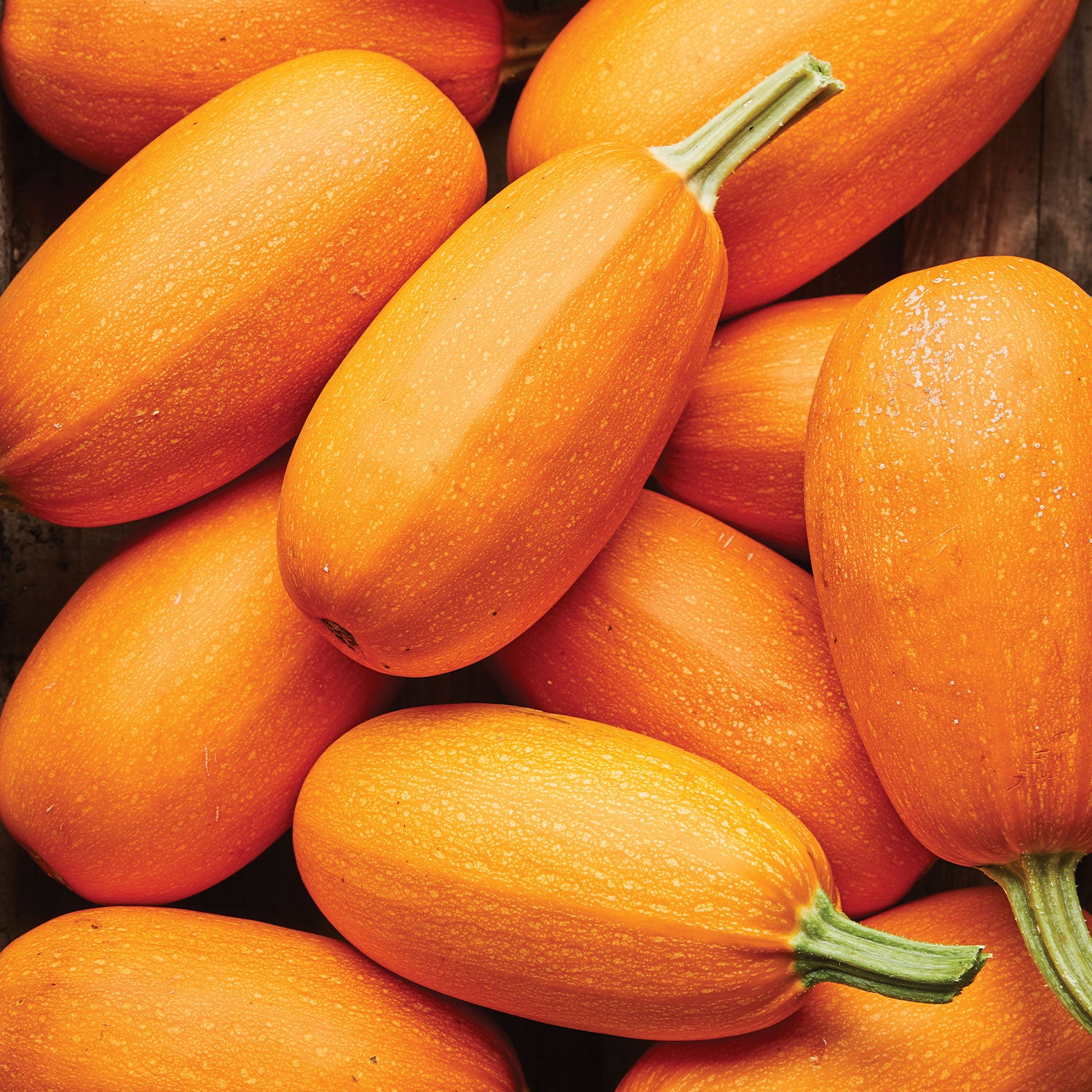 Hasta La Pasta Winter Squash